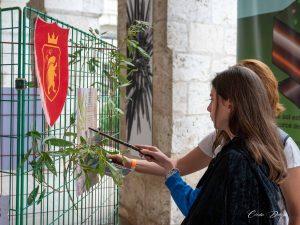 20260926-134123-Coupe Poudloiire-CD